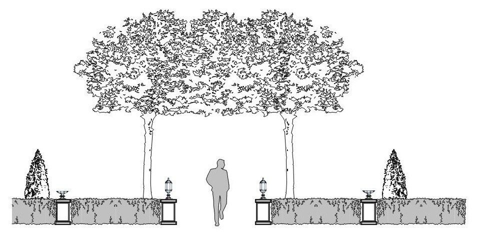 Глянцевый лес