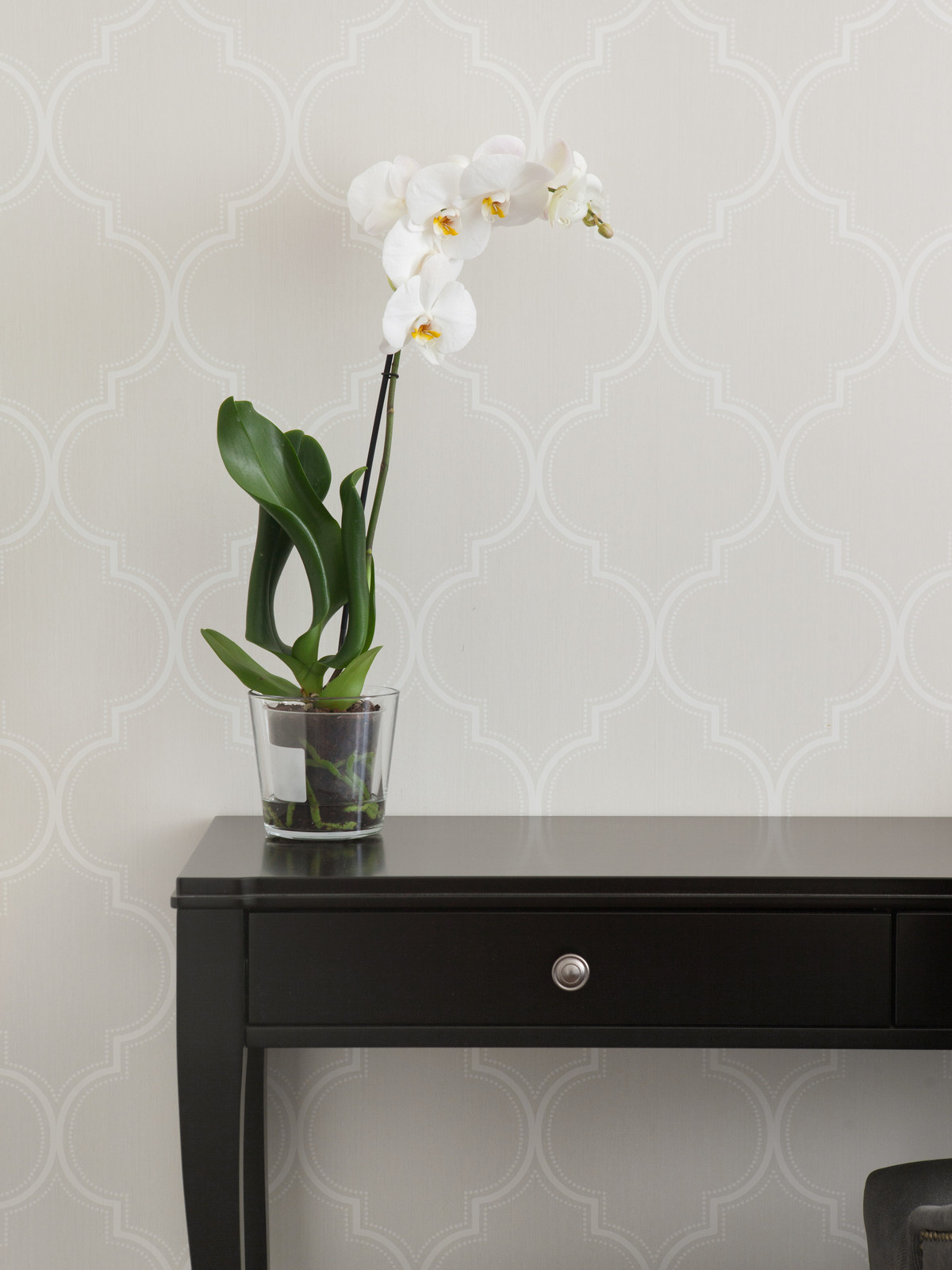 Квартира ул. Столетова