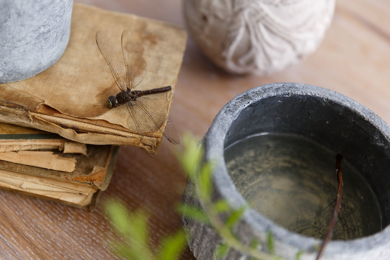 Дом в п.Ольшаники