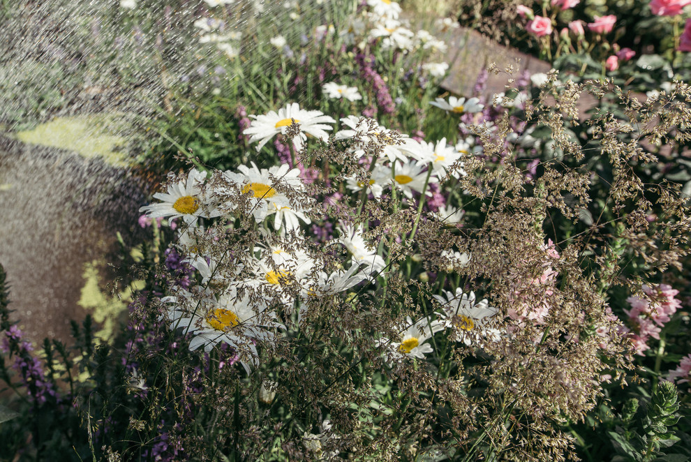 Grain de Perle (Зерно Жемчужины)