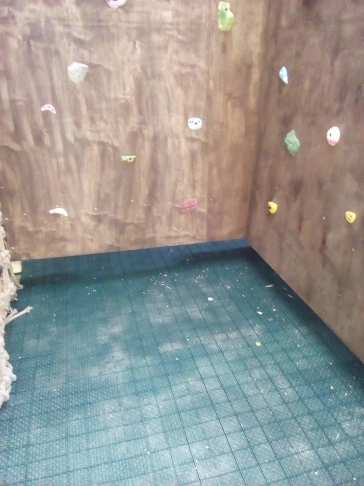 Детский спортивно-игровой комплекс Тартуга