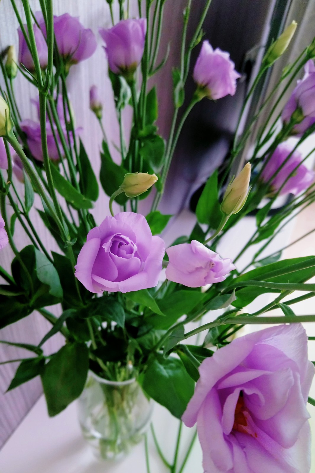 Интерьер 1-комн. квартиры в  ЖК Атмосфера