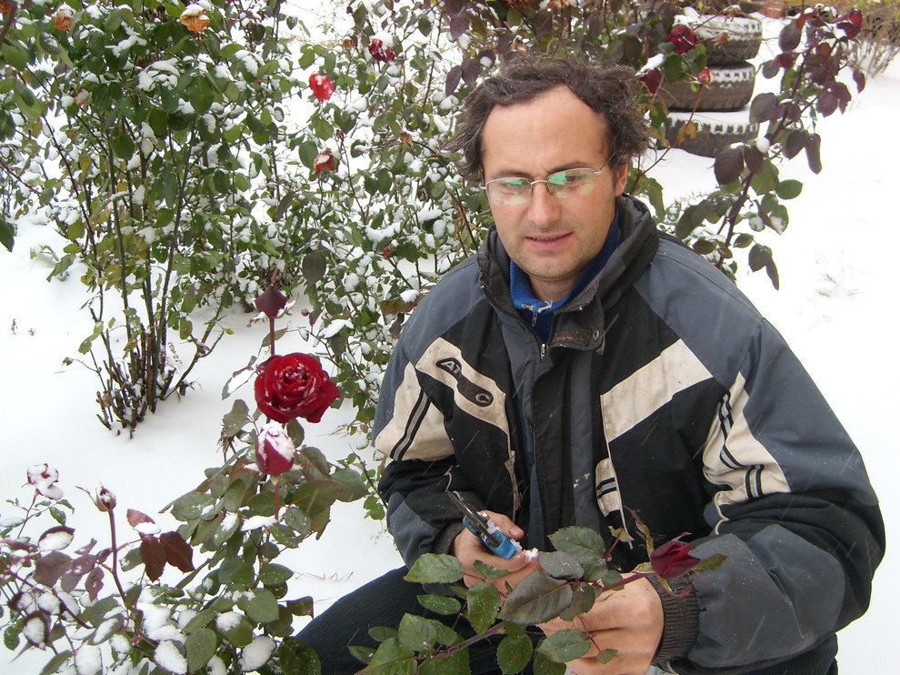 обработки участков