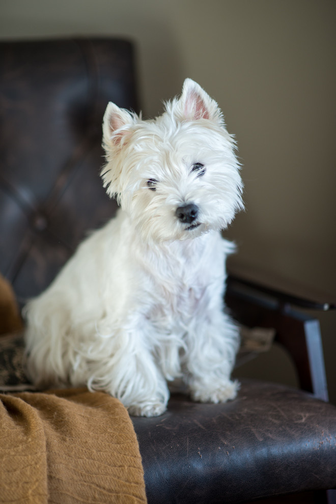 Трёхкомнатная квартира в Царицыно (дизайнер Людмила Данилевич)