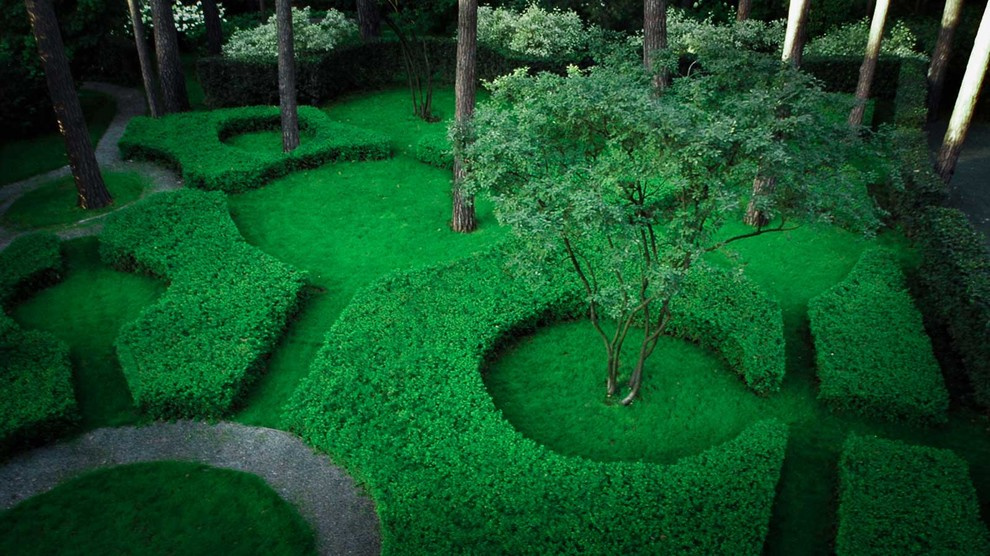 Серебряный бор