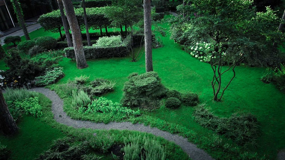 Серебряный бор