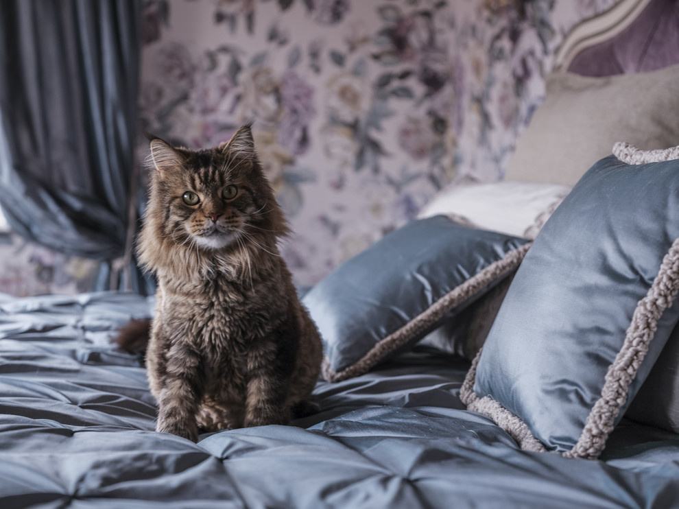 Светлый загородный дом. Дизайнер: Елена Румянцева