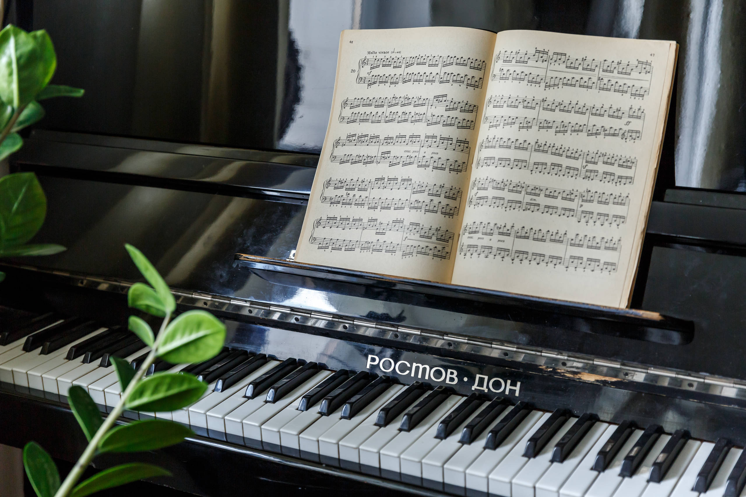 Кравченко для Houzz