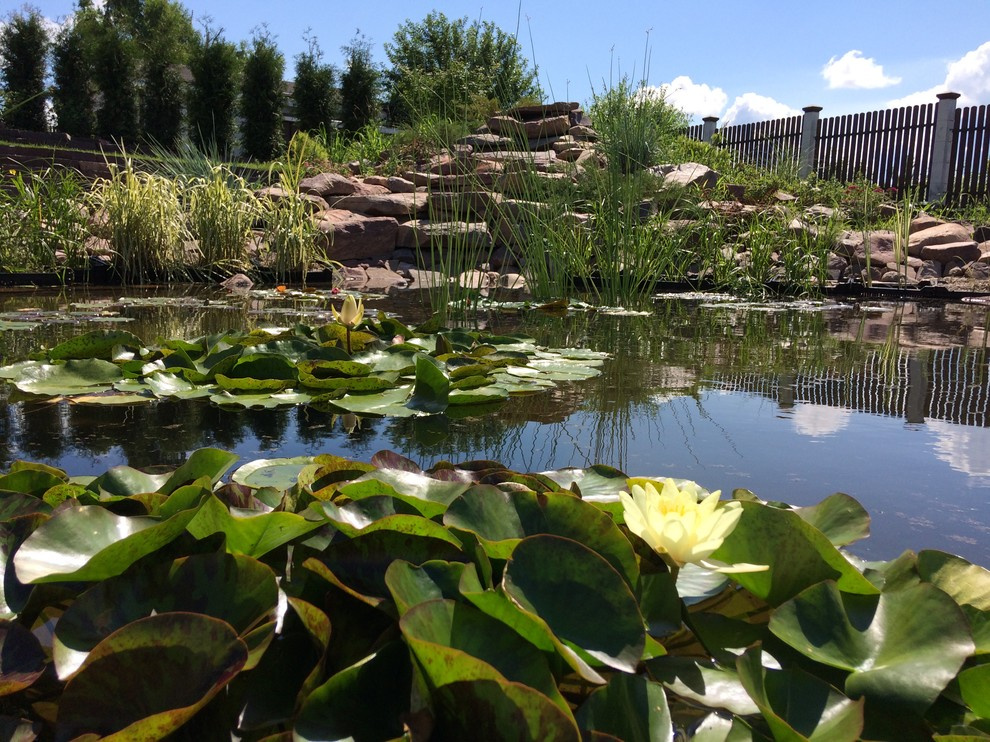 "реконструкция водоема"