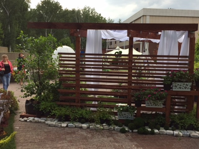 Обложка проекта: Фестивальная работа