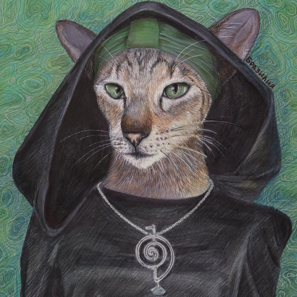 Арт Кошки (проект "Котолюди")