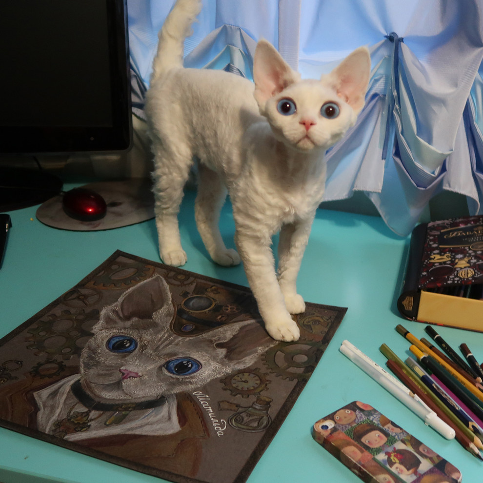 Арт Кошки (проект "Котолюди")