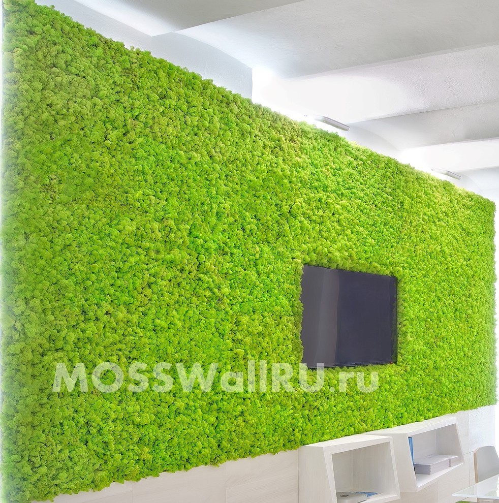 Офис «open space» - оформление офиса перегородками со стабилизированным мхом