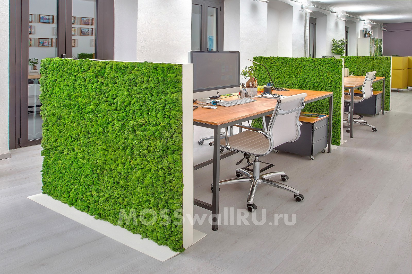 Офис «open space» - оформление офиса перегородками со стабилизированным мхом