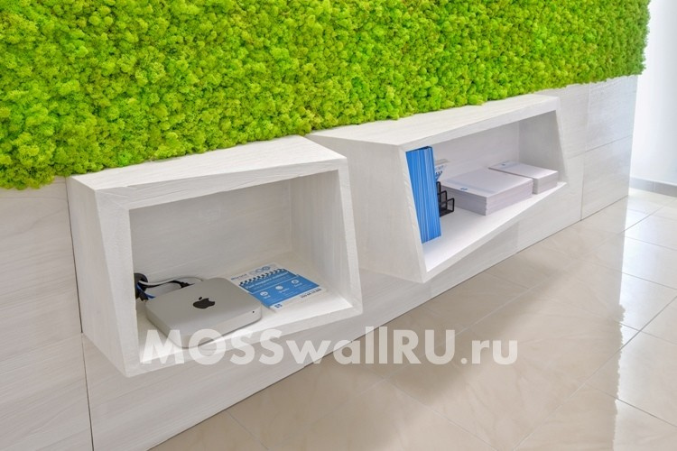 Офис «open space» - оформление офиса перегородками со стабилизированным мхом