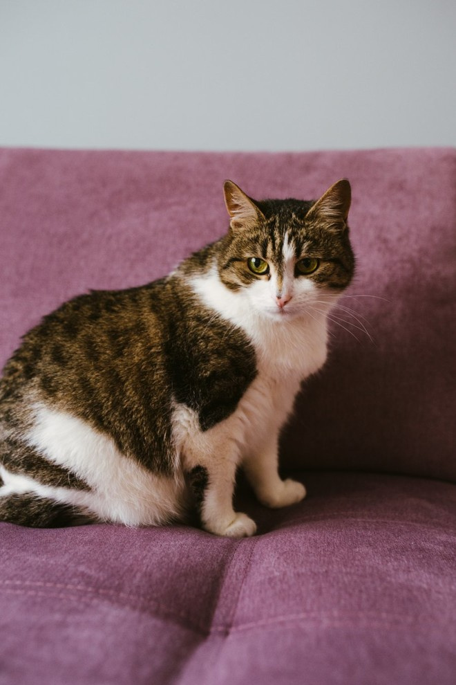 Жизнь в «Сделано» — двухкомнатная кварта на Островитянова