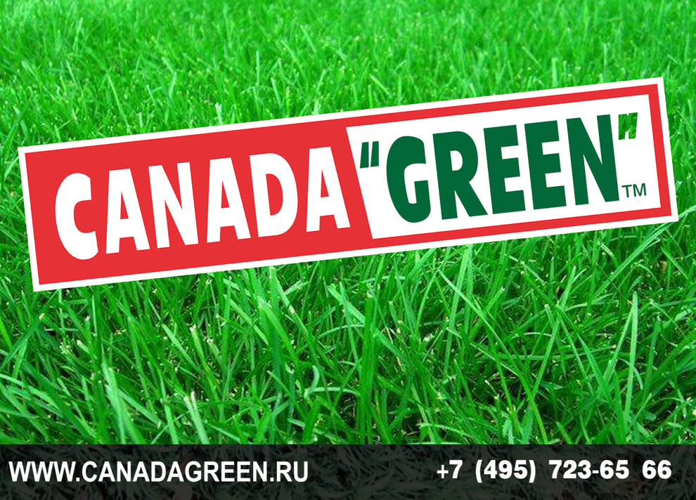 Gazon CANADA GREEN NEW FORMULA Grass Seed.