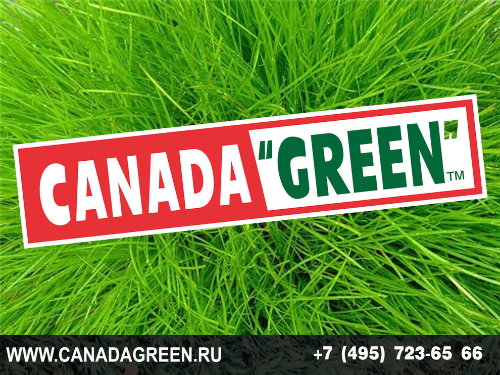 Gazon CANADA GREEN NEW FORMULA Grass Seed.