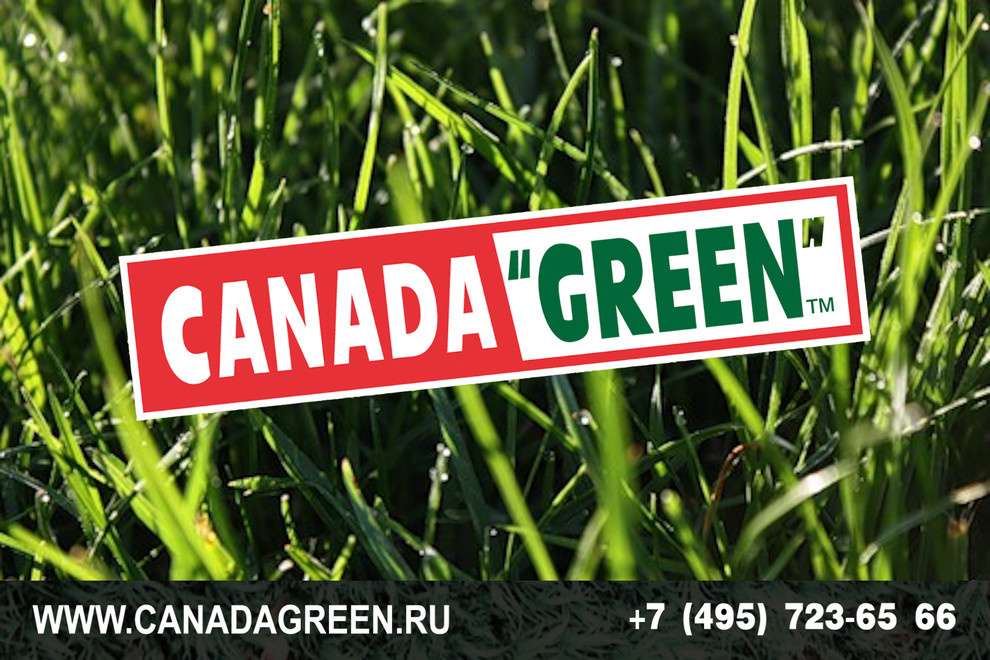 Gazon CANADA GREEN NEW FORMULA Grass Seed.