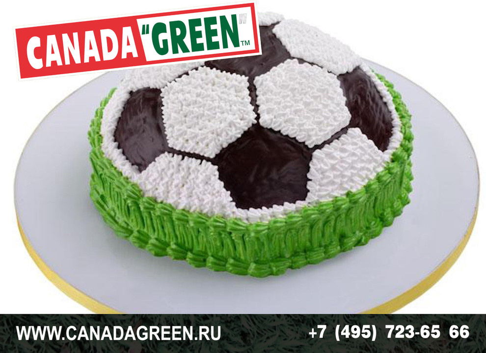 Gazon CANADA GREEN NEW FORMULA Grass Seed.
