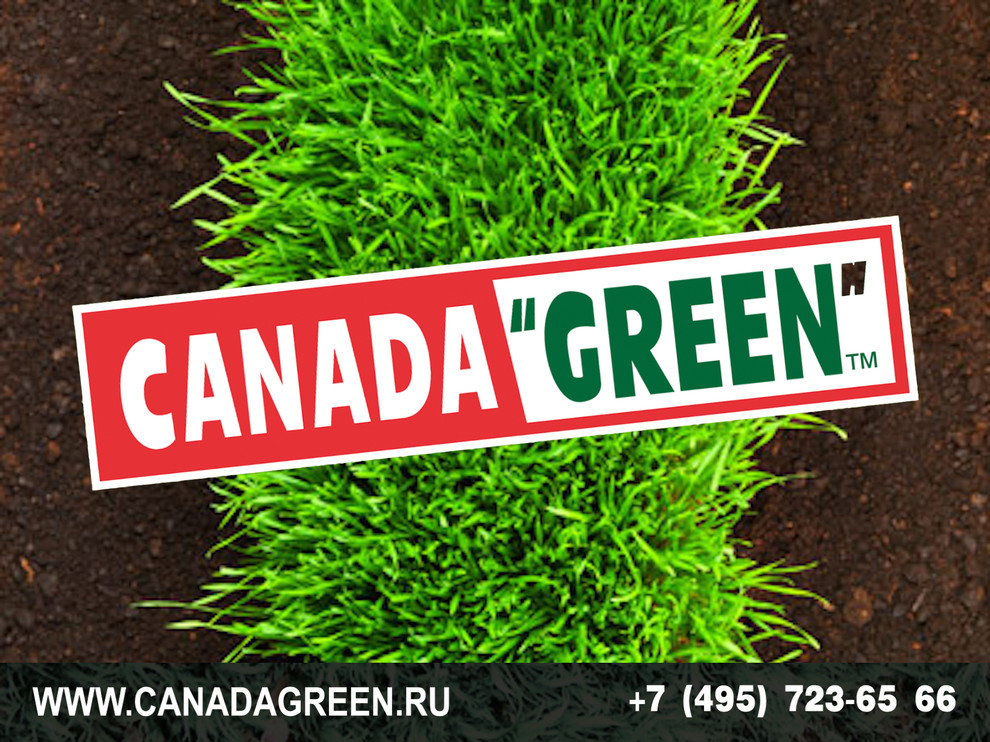 Gazon CANADA GREEN NEW FORMULA Grass Seed.