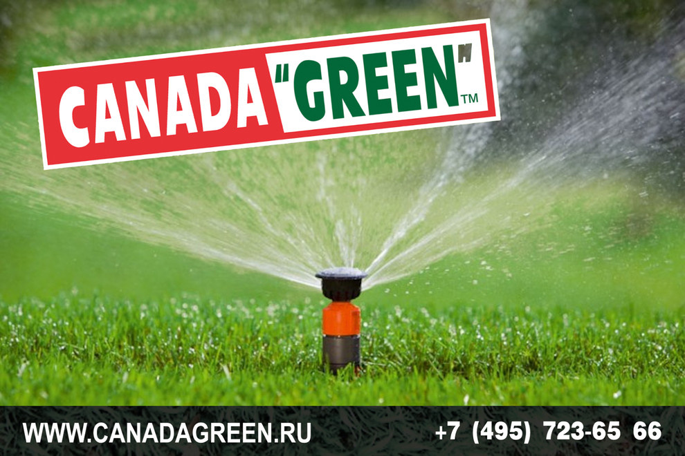 Gazon CANADA GREEN NEW FORMULA Grass Seed.