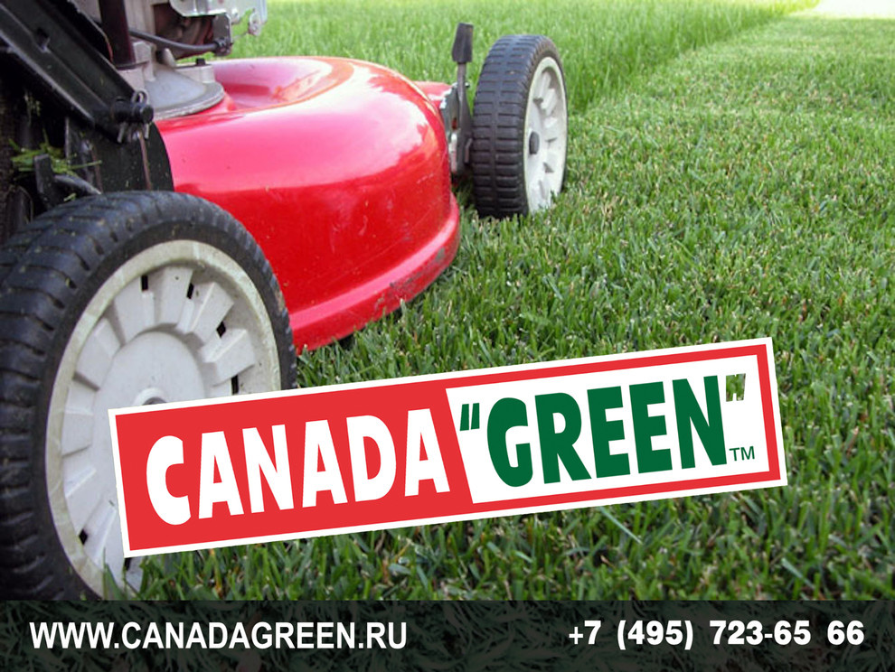 Gazon CANADA GREEN NEW FORMULA Grass Seed.