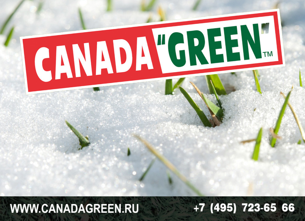 Gazon CANADA GREEN NEW FORMULA Grass Seed.