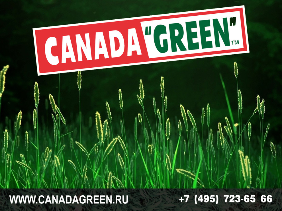 Gazon CANADA GREEN NEW FORMULA Grass Seed.