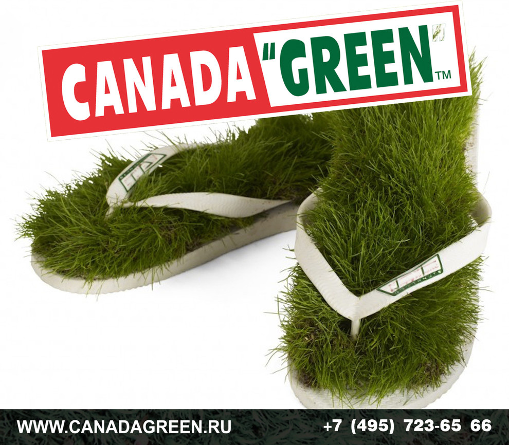 Gazon CANADA GREEN NEW FORMULA Grass Seed.