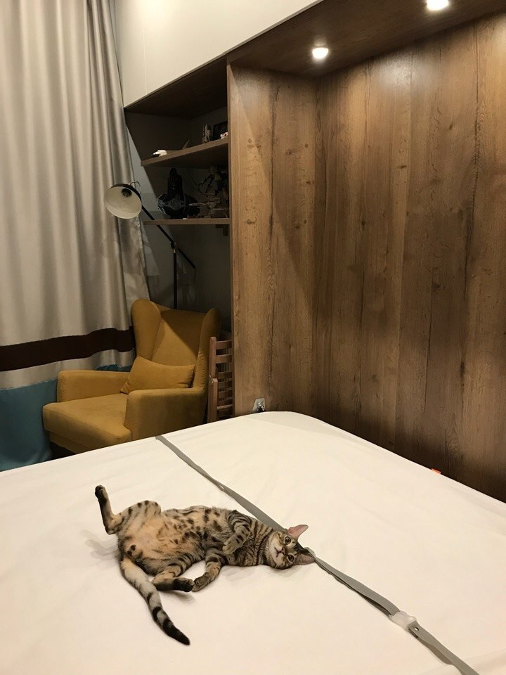 Шкаф-кровать с системами хранения в квартиру-студию ЖК "Мишино"