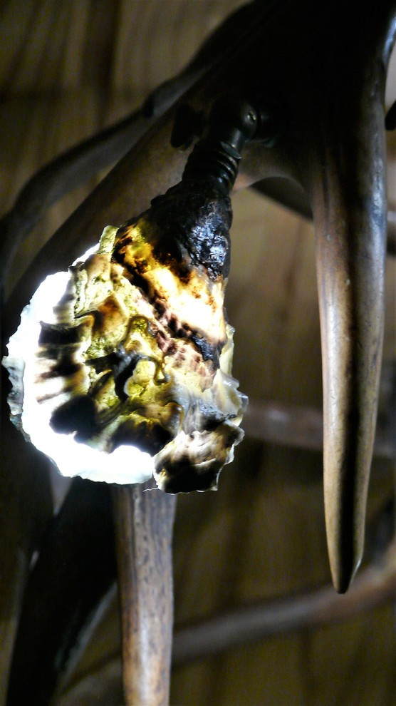 Подвесная люстра из рога марала и северного оленя .