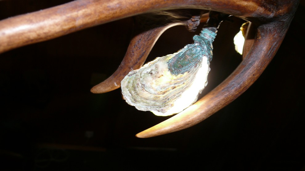 Подвесная люстра из рога марала и северного оленя .