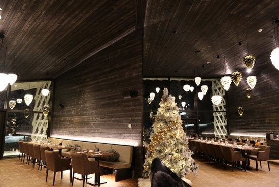 Arctic TreeHouse Hotel