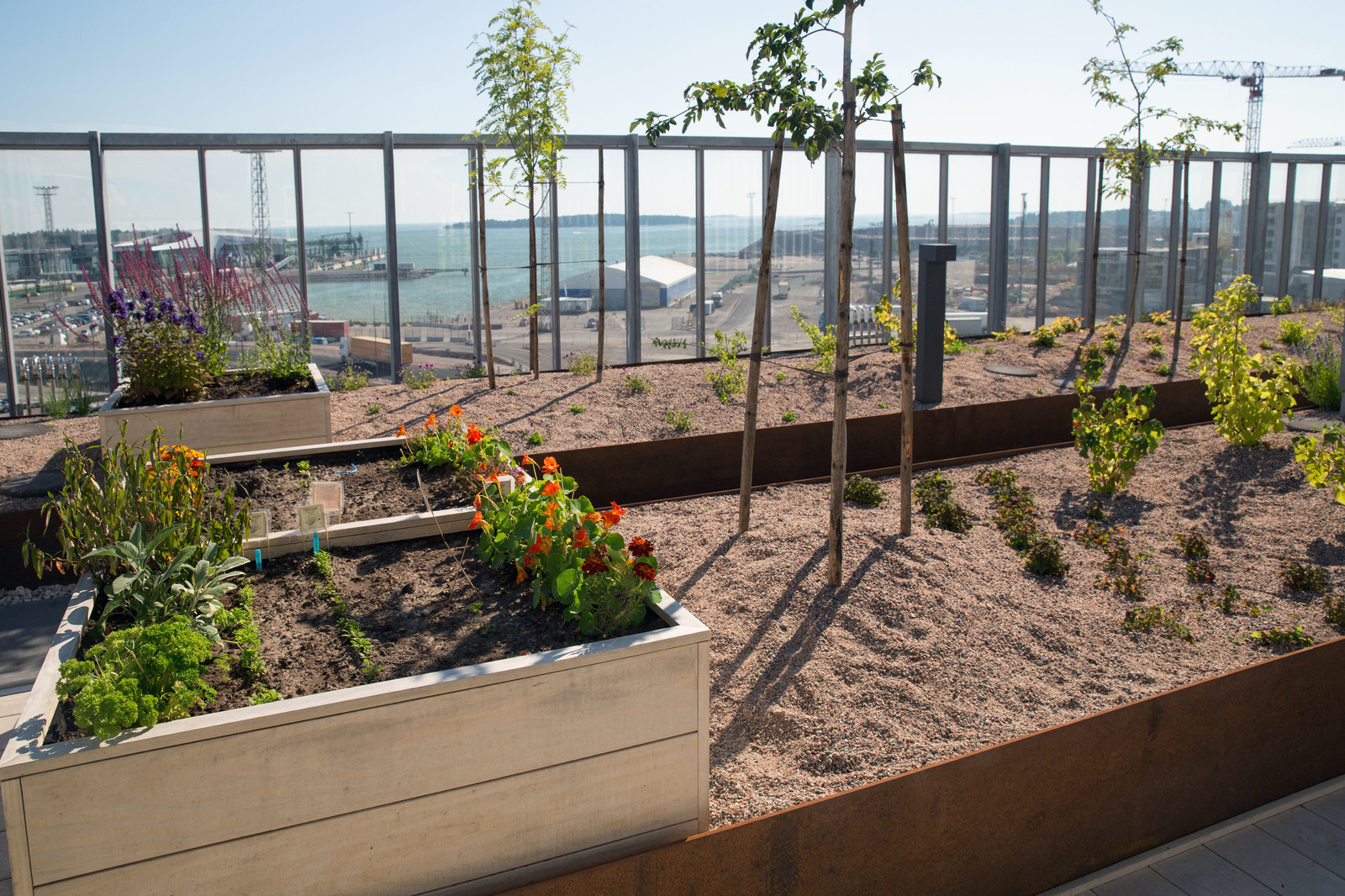 Сада на крыше в Хельсинки, Финляндия  Автор    Taina Suonio (контакт Фейсбук)