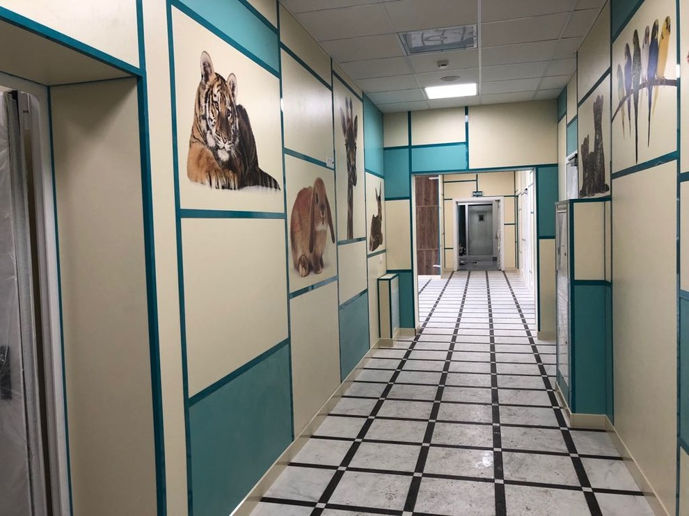 Поликлиника 101