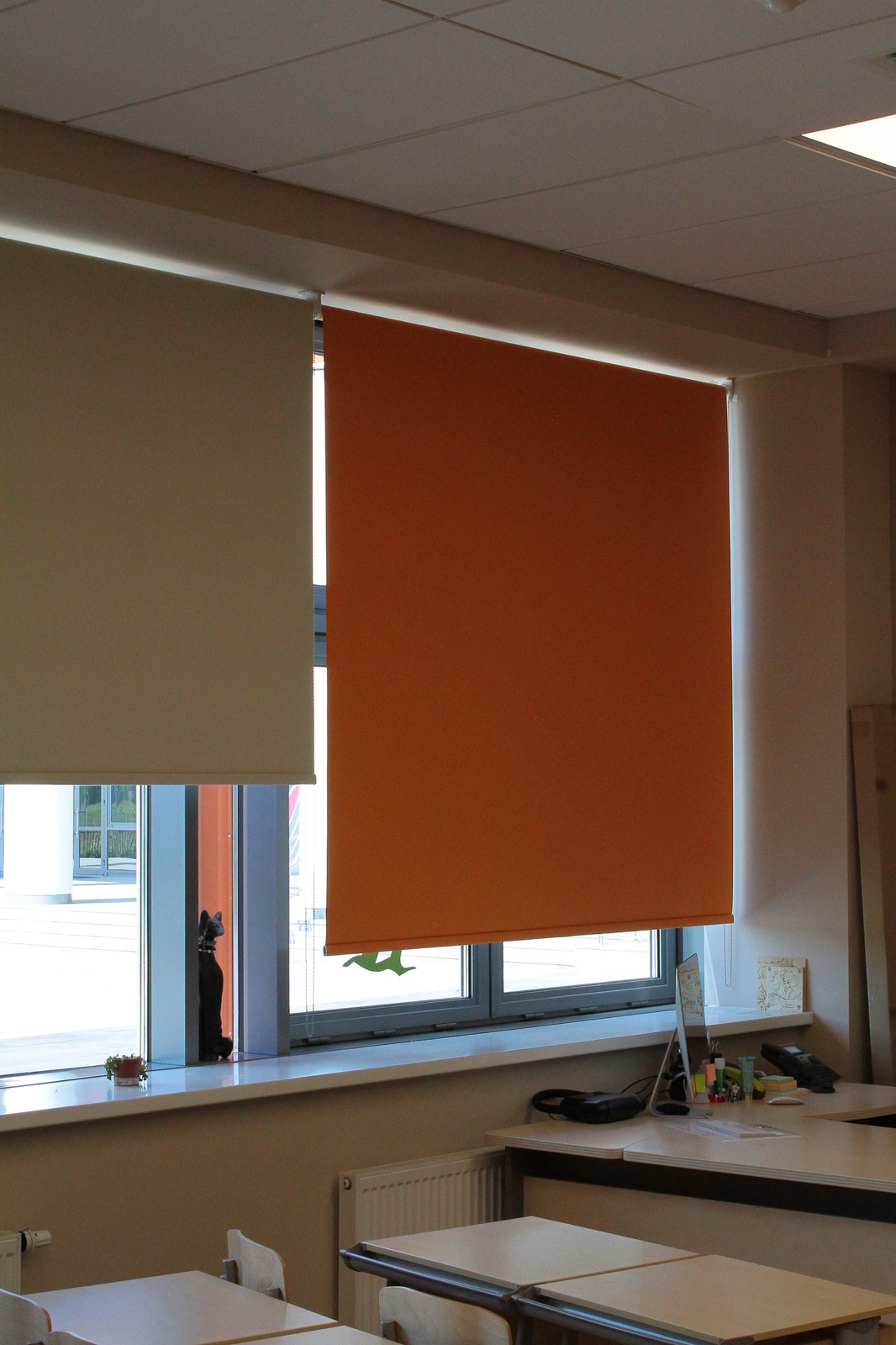 Гимназия имени Примакова