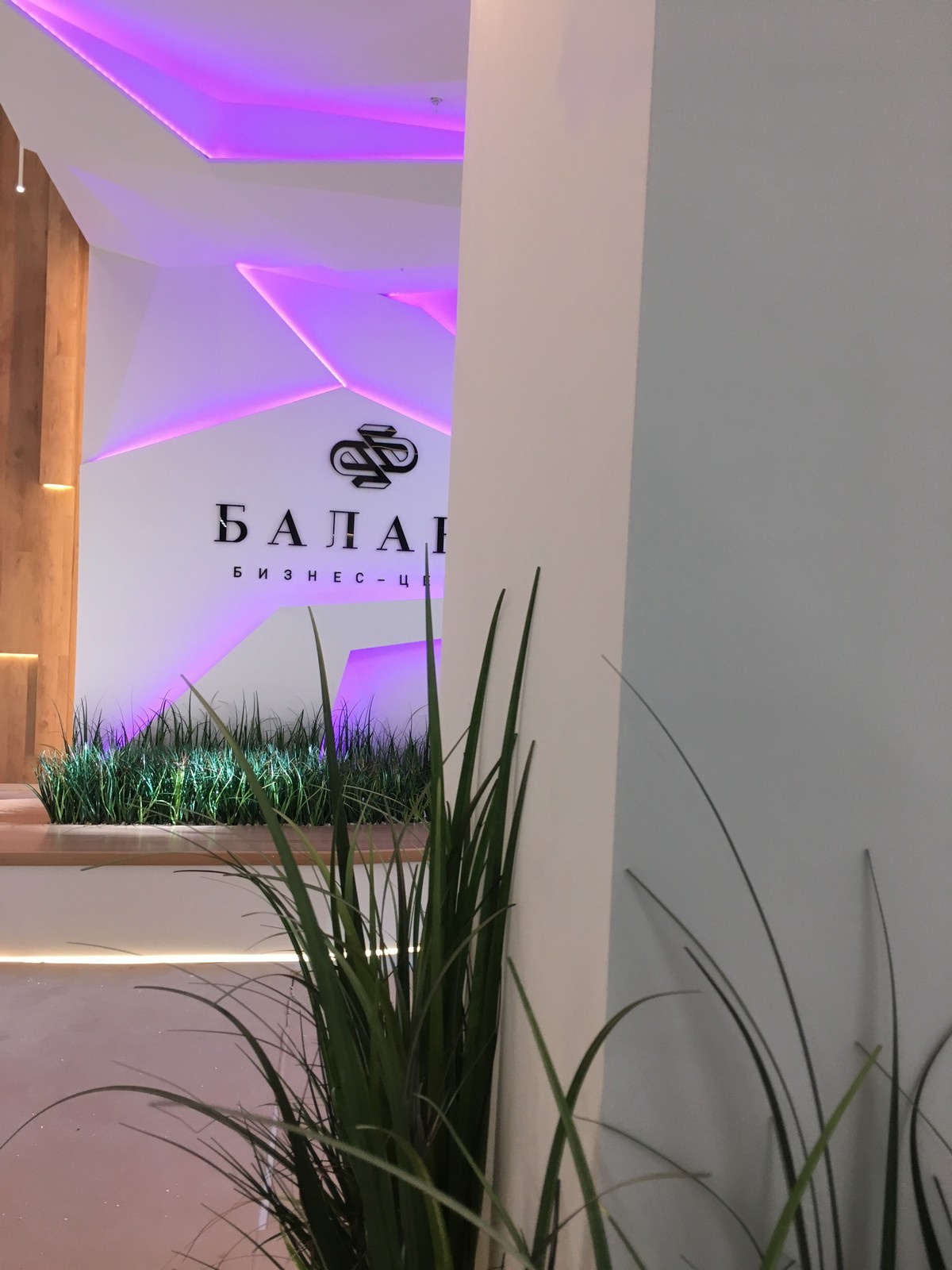 Фитодизайн для бизнес-центра