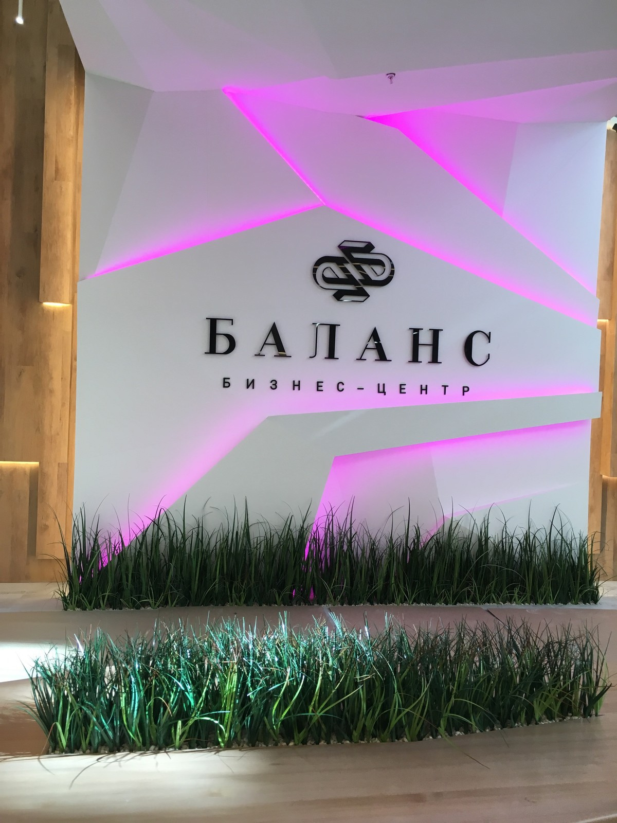 Фитодизайн для бизнес-центра