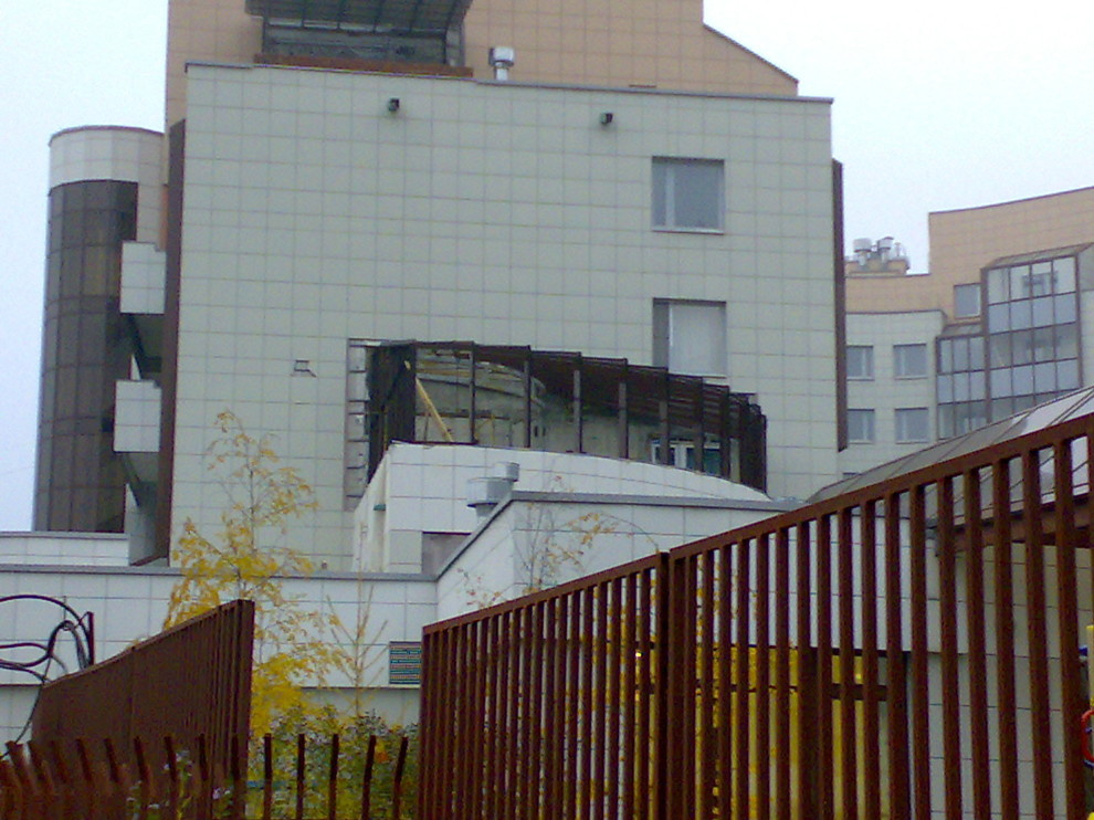 Зимний сад