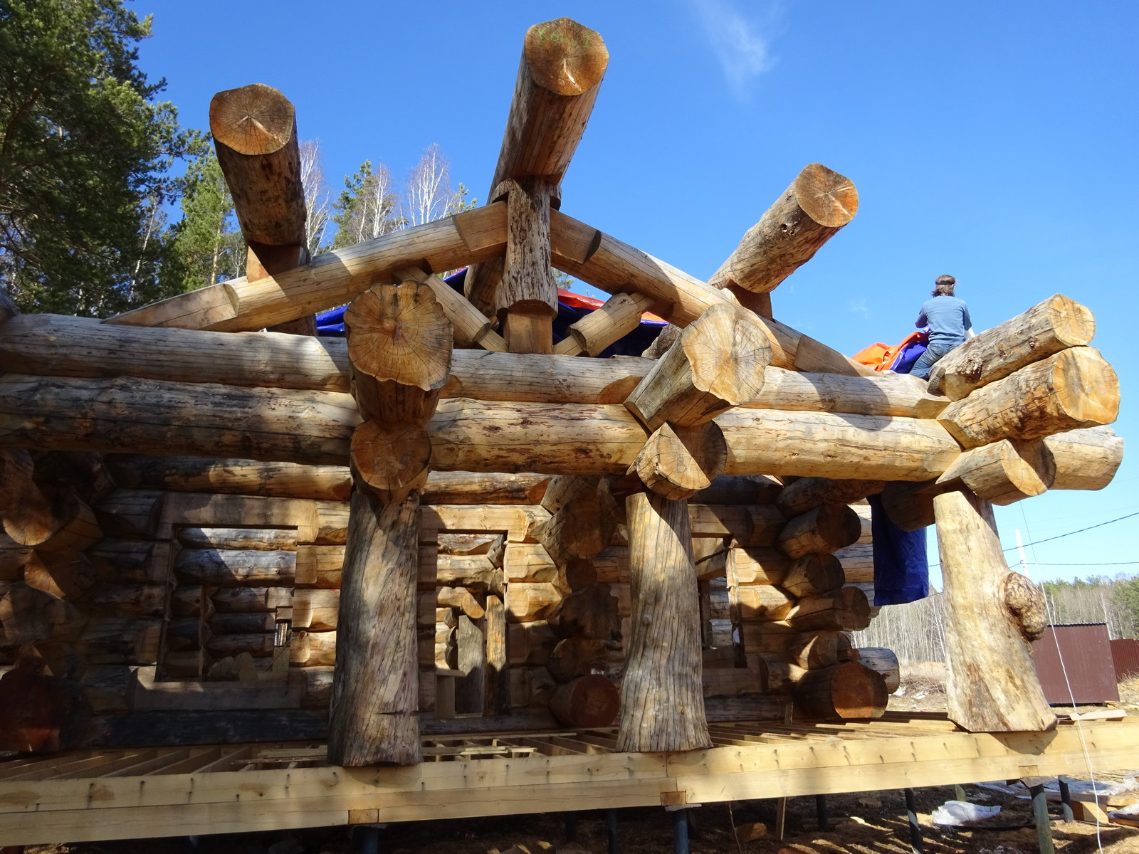 Срочно укрыть дорогую конструкцию из кедра  на 6 месяцев от дождя и снега