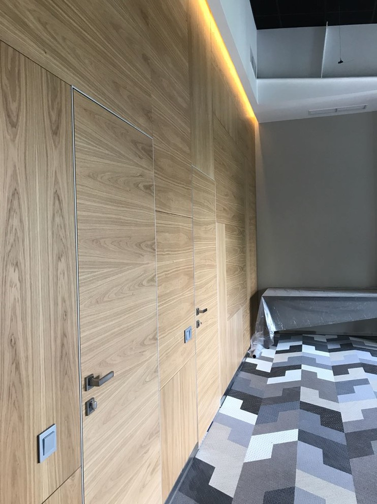 Обложка проекта: Скрытые двери и шпонированные стеновые панели