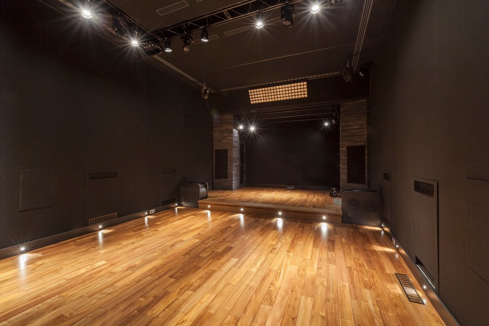 Частный кино-концертный зал