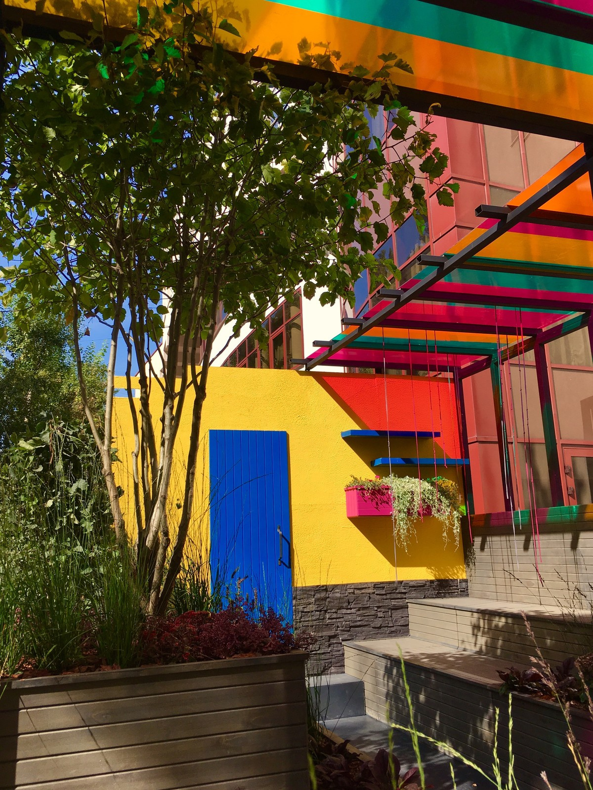 Внутренний дворик. Номинация Малый сад "Цветочный джем"