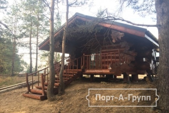 Обложка проекта: Сказочный домик в лесу (дикий сруб)