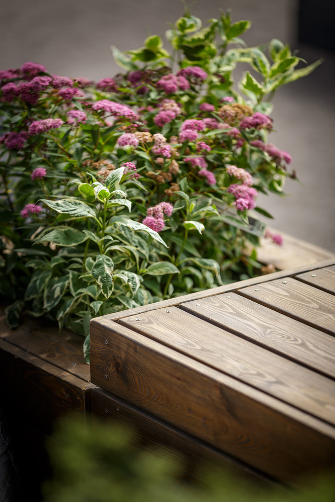 Площадки для мероприятий