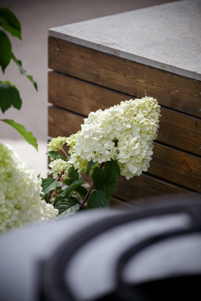 Площадки для мероприятий