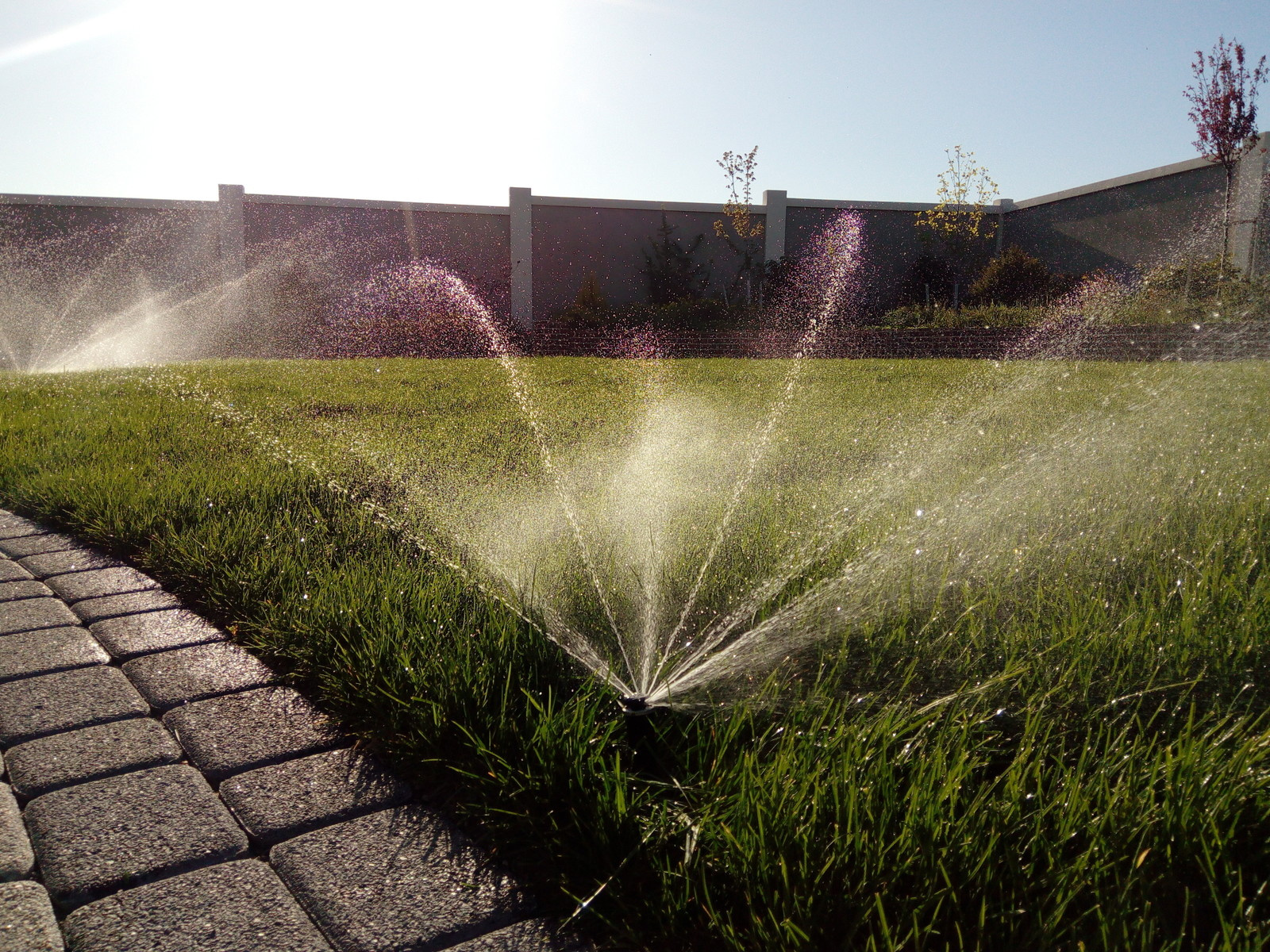 Винодельня Гай Кодзор