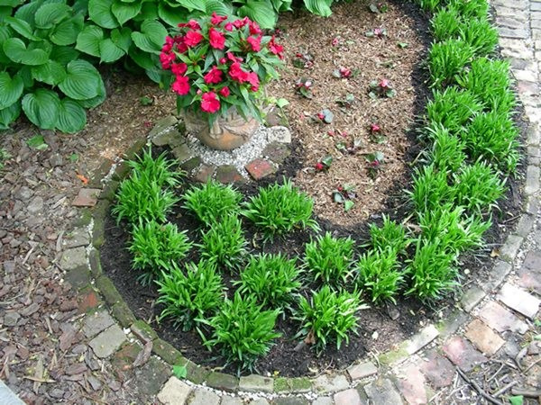 Малый сад, большие возможности