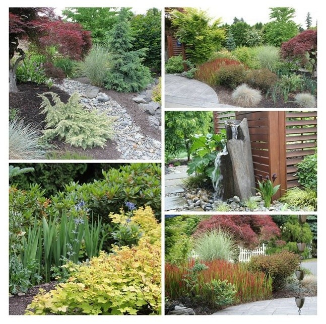 Мой сад: Работа с Природой "Изобретая парадный двор"